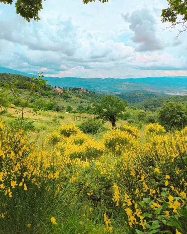 casale in vendita a Talla