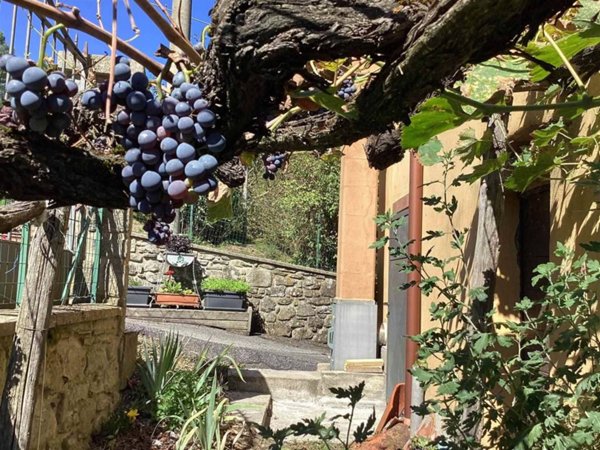 casa indipendente in vendita a Talla in zona Capraia