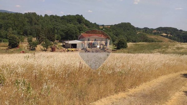 casa indipendente in vendita a Terranuova Bracciolini in zona Traiana