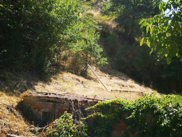 terreno agricolo in vendita a Terranuova Bracciolini