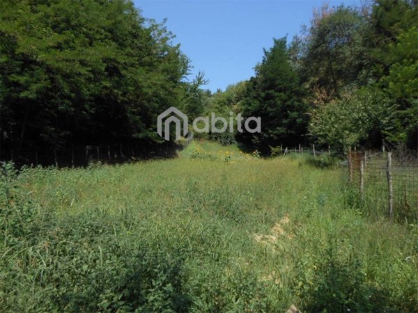 terreno agricolo in vendita a Terranuova Bracciolini