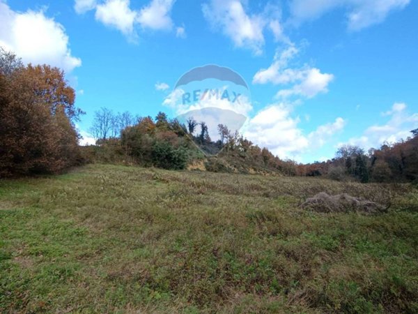 terreno agricolo in vendita a Terranuova Bracciolini in zona Penna