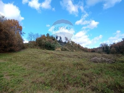 terreno agricolo in vendita a Terranuova Bracciolini in zona Penna