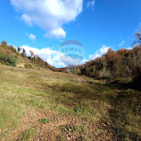 terreno agricolo in vendita a Terranuova Bracciolini in zona Penna