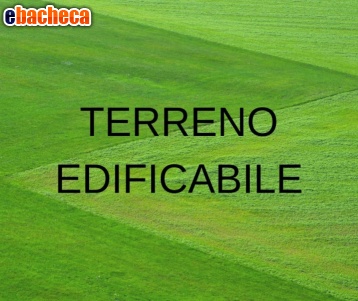 capannone in vendita a Terranuova Bracciolini