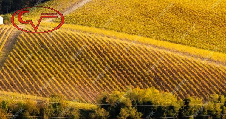 negozio in vendita a Terranuova Bracciolini