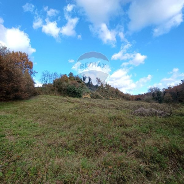 terreno agricolo in vendita a Terranuova Bracciolini in zona Penna