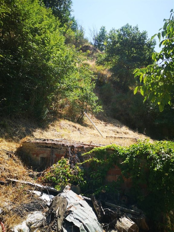terreno agricolo in vendita a Terranuova Bracciolini