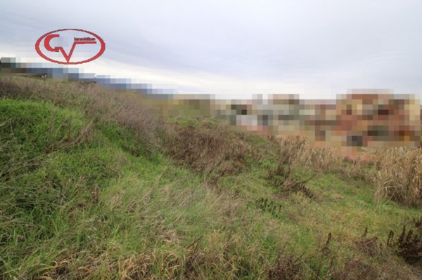 casa indipendente in vendita a Terranuova Bracciolini