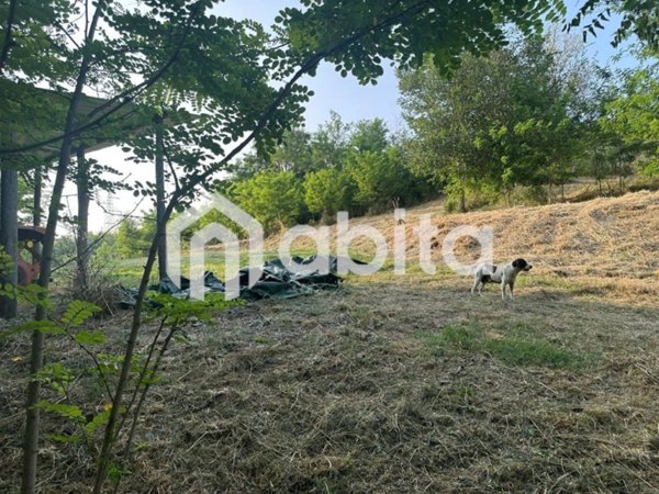 terreno agricolo in vendita a Terranuova Bracciolini