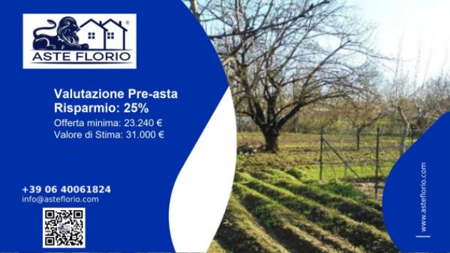 terreno agricolo in vendita a Terranuova Bracciolini