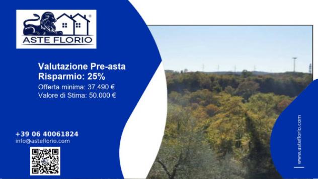 terreno agricolo in vendita a Terranuova Bracciolini