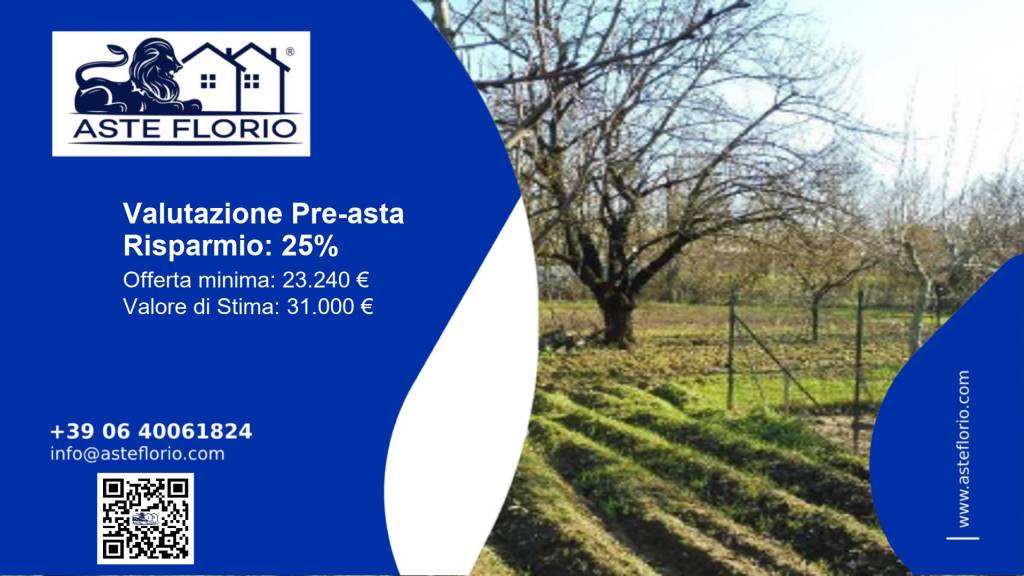 terreno agricolo in vendita a Terranuova Bracciolini