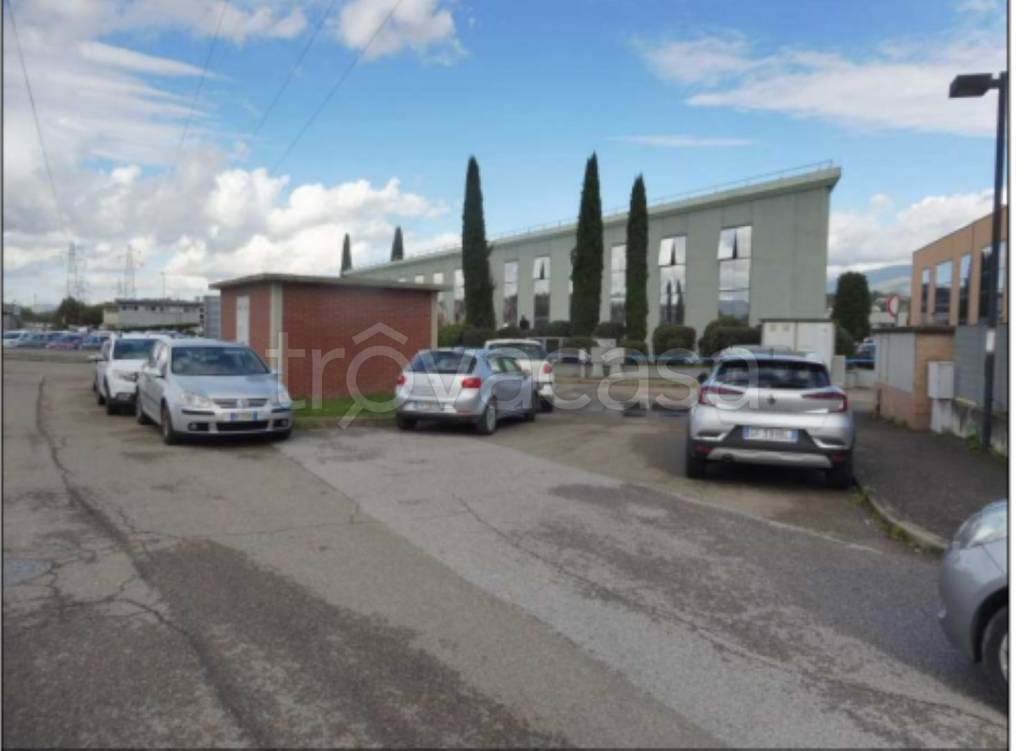 terreno agricolo in vendita a Terranuova Bracciolini