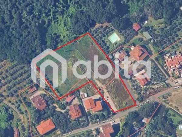 terreno agricolo in vendita a Terranuova Bracciolini