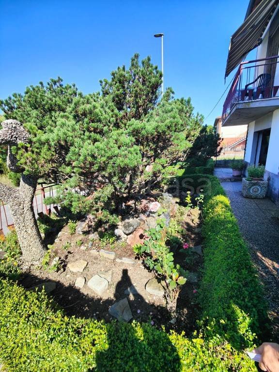 casa indipendente in vendita a Terranuova Bracciolini in zona Ville
