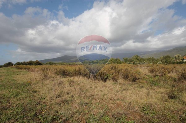 terreno agricolo in vendita a Terranuova Bracciolini in zona Traiana
