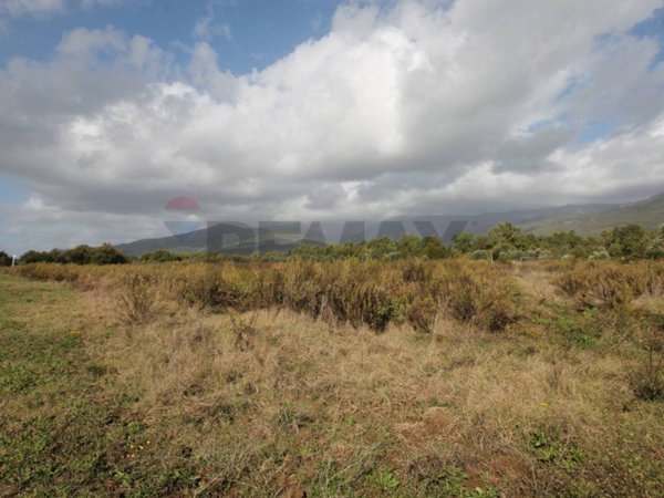 terreno agricolo in vendita a Terranuova Bracciolini