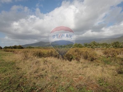 terreno agricolo in vendita a Terranuova Bracciolini in zona Cicogna