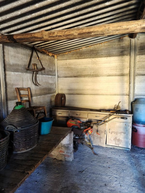 terreno agricolo in vendita a Terranuova Bracciolini