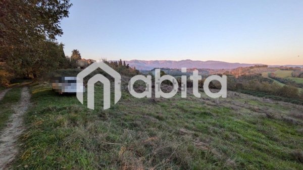 terreno agricolo in vendita a Terranuova Bracciolini