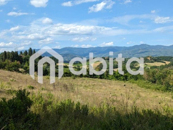 terreno agricolo in vendita a Terranuova Bracciolini