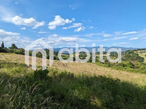 terreno agricolo in vendita a Terranuova Bracciolini