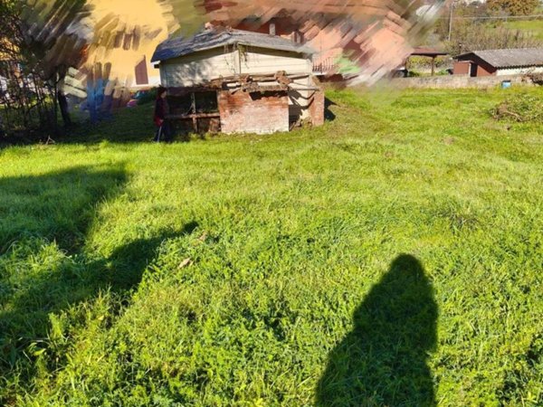 terreno agricolo in vendita a Terranuova Bracciolini