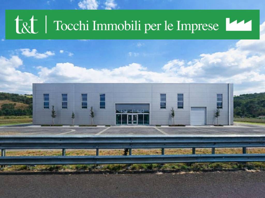 terreno agricolo in vendita a Terranuova Bracciolini