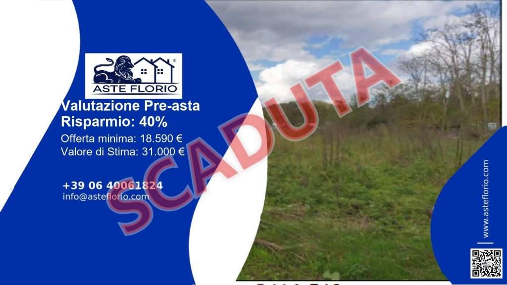 terreno agricolo in vendita a Terranuova Bracciolini