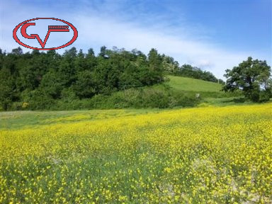 terreno edificabile in vendita a Terranuova Bracciolini in zona Tasso