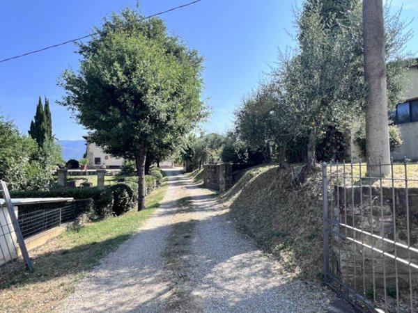 azienda agricola in vendita a Terranuova Bracciolini
