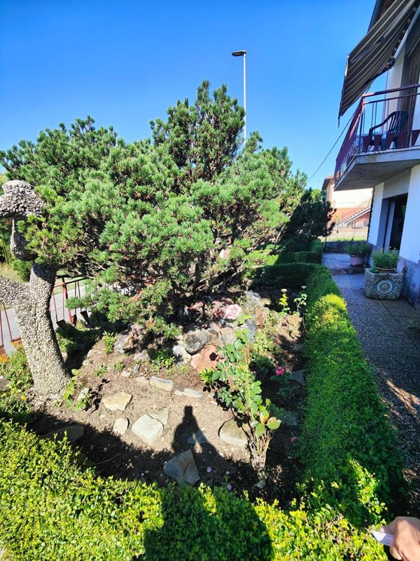 casa indipendente in vendita a Terranuova Bracciolini in zona Ville