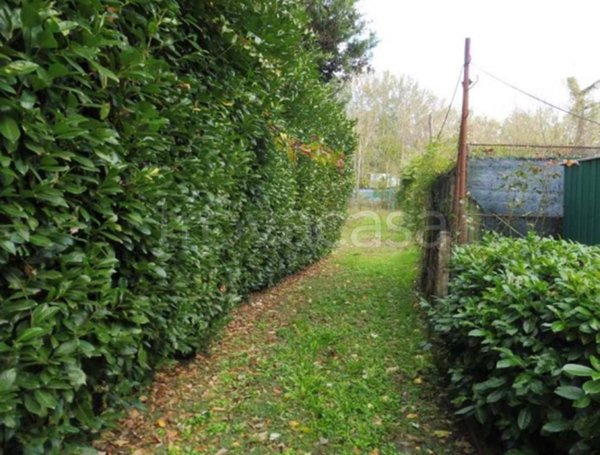 terreno agricolo in vendita a Terranuova Bracciolini