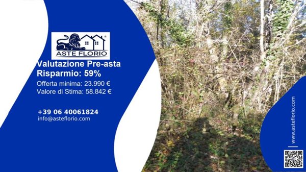 terreno agricolo in vendita a Terranuova Bracciolini