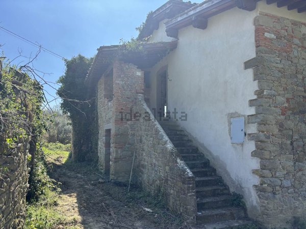 esavano in vendita a Terranuova Bracciolini