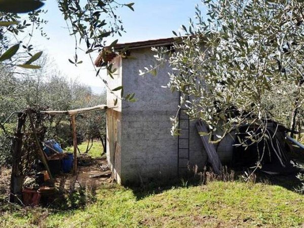 terreno agricolo in vendita a Terranuova Bracciolini