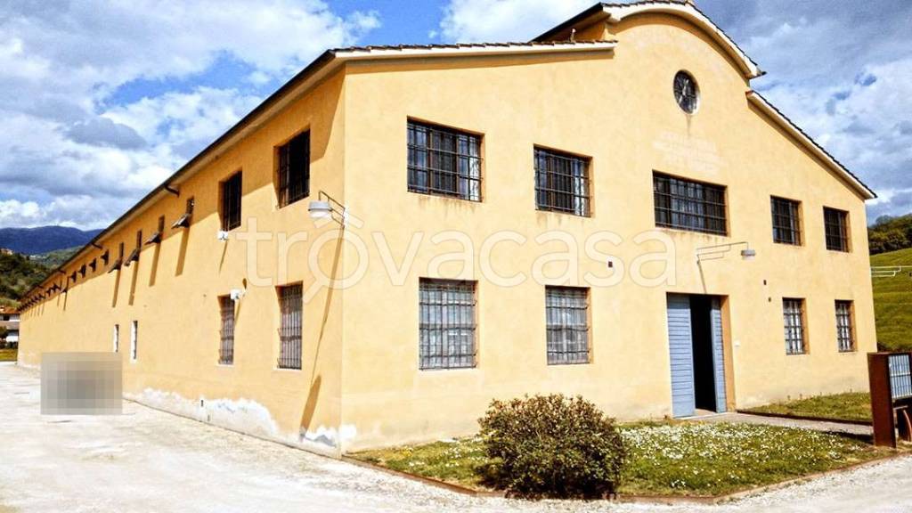 casa indipendente in vendita a Terranuova Bracciolini in zona Piantravigne