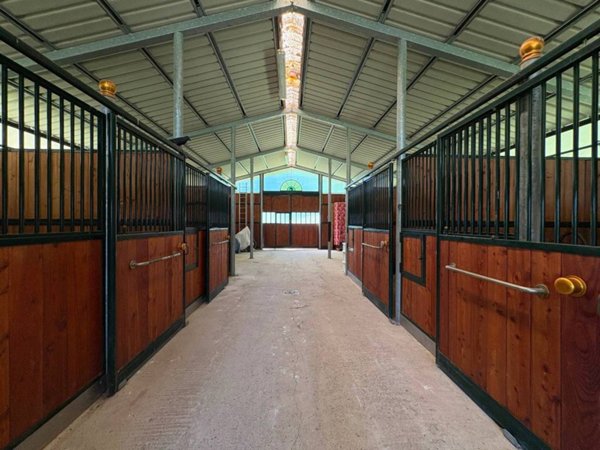 casa indipendente in vendita a Terranuova Bracciolini