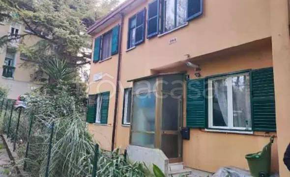 appartamento in vendita a Terranuova Bracciolini