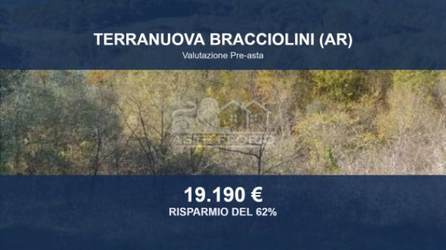 terreno agricolo in vendita a Terranuova Bracciolini