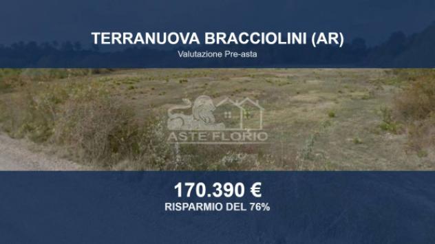 terreno agricolo in vendita a Terranuova Bracciolini