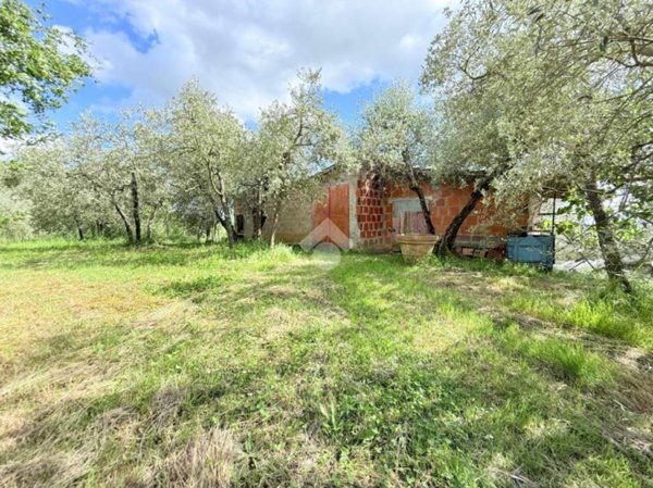casa indipendente in vendita a Terranuova Bracciolini in zona Campogialli