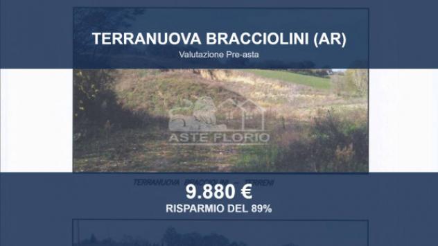 terreno agricolo in vendita a Terranuova Bracciolini