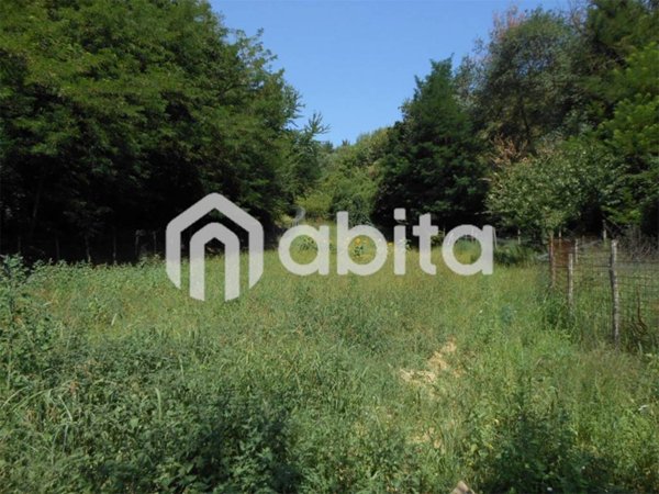 terreno agricolo in vendita a Terranuova Bracciolini in zona Penna