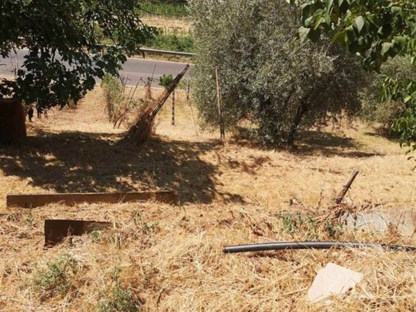 terreno agricolo in vendita a Terranuova Bracciolini
