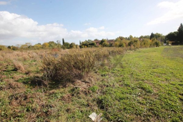 terreno agricolo in vendita a Terranuova Bracciolini in zona Cicogna