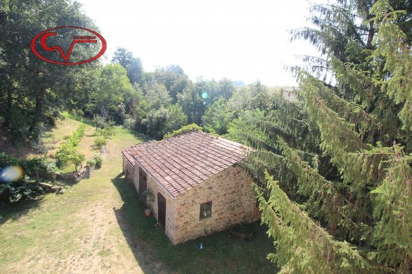 pentavano in vendita a Terranuova Bracciolini