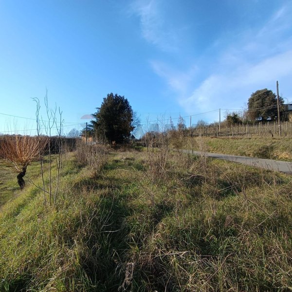 terreno agricolo in vendita a Terranuova Bracciolini in zona Persignano