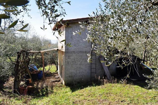 terreno agricolo in vendita a Terranuova Bracciolini in zona Persignano